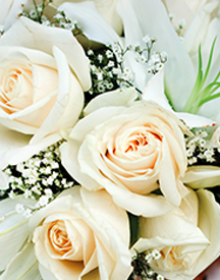 classic-neutrals