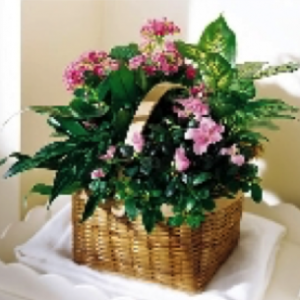 Gift Baskets