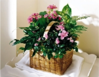 Gift Baskets