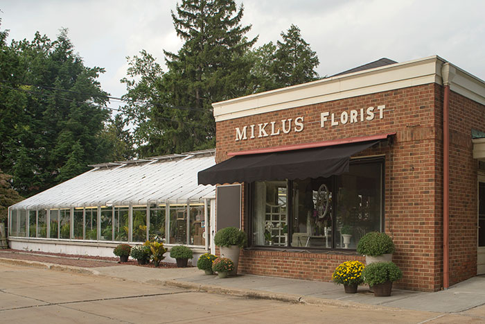 miklus-store