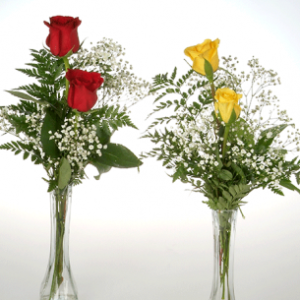Roses