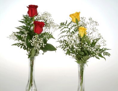 Roses