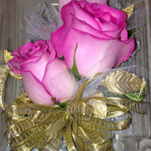 Bright Pink Tipped Roses Gold Ribbon Corsage