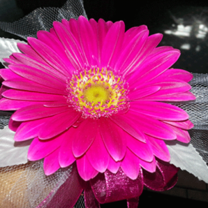 Hot Pink Gerba Daisy Wrist Corsage