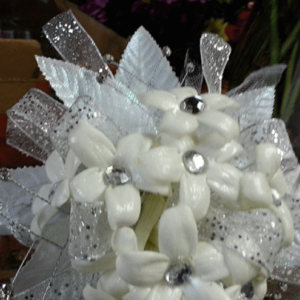 Stephanotis Crystal Corsage