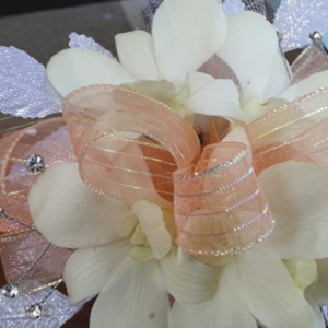 White Orchids Peach Ribbon Corsage