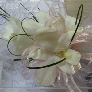 White Orchids Peach & Black Ribbon Corsage