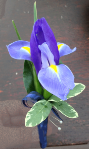 Purple & Yellow Orchid Boutonniere
