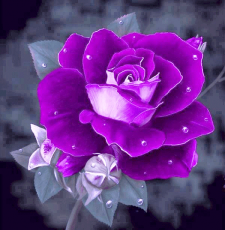 Bold Purple Corsage