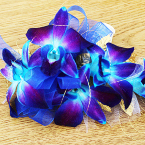 Blue-Violet Orchids Corsage