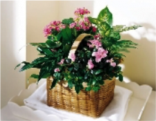 Blooming Basket in Pinks