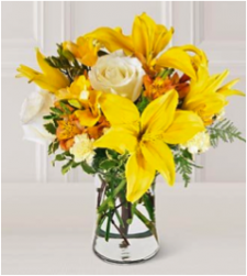 Blooms of Sunshine