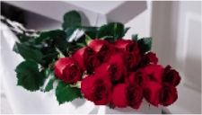 Boxed Roses