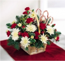 Candy Cane Holiday