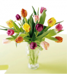 Carnival of Tulips