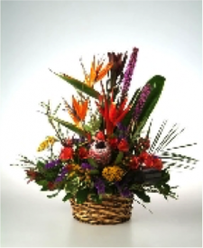 Exotic Garden Arrangement