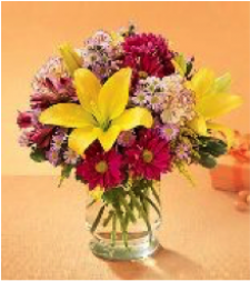 Festival of Flowers
