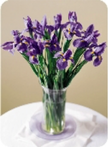 Vase of Iris